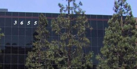 B&PLUS USA – California Office